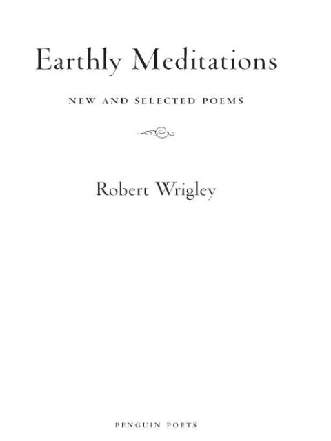Cover image for book Earthly Meditations