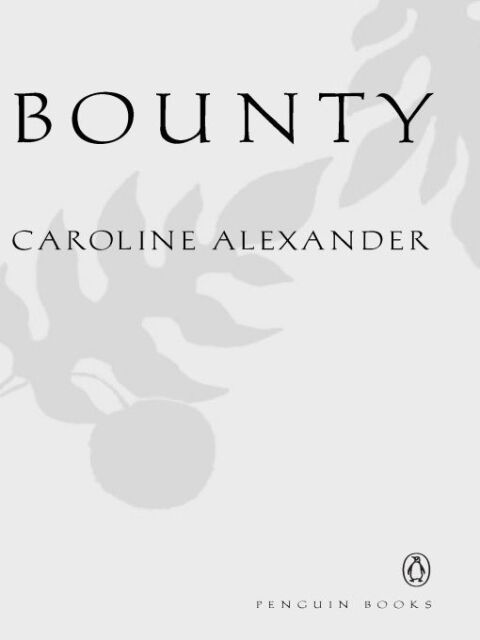 Cover image for book The Bounty