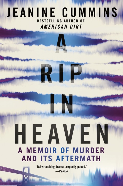 Cover image for book A Rip in Heaven
