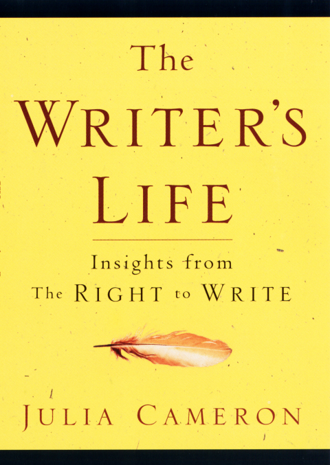 Cover image for book The Writer's Life