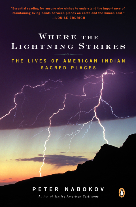 Cover image for book Where the Lightning Strikes