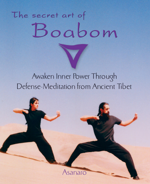 Cover image for book The Secret Art of Boabom