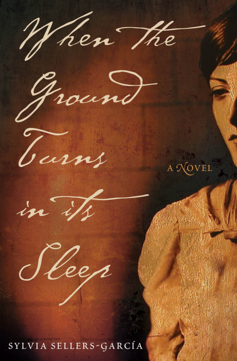 Cover image for book When the Ground Turns in Its Sleep