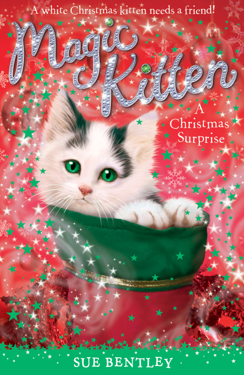 Cover image for book A Christmas Surprise