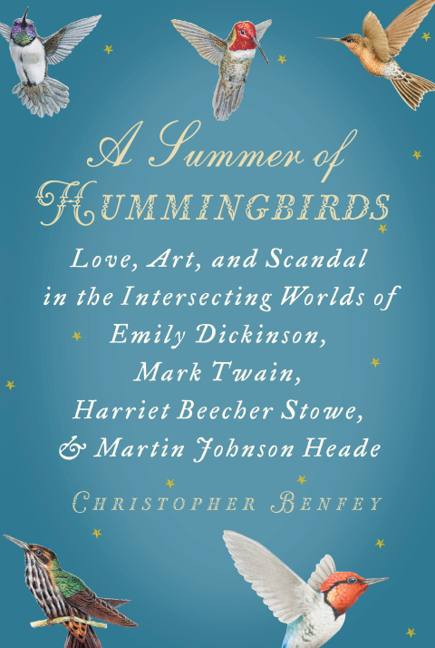 Cover image for book A Summer of Hummingbirds