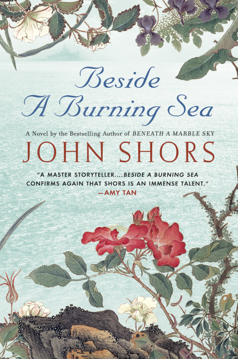 Cover image for book Beside a Burning Sea