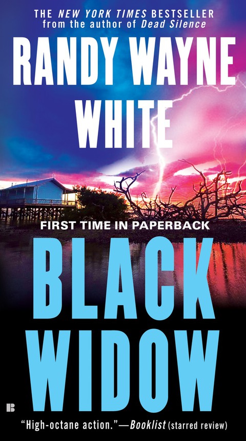 Cover image for book Black Widow