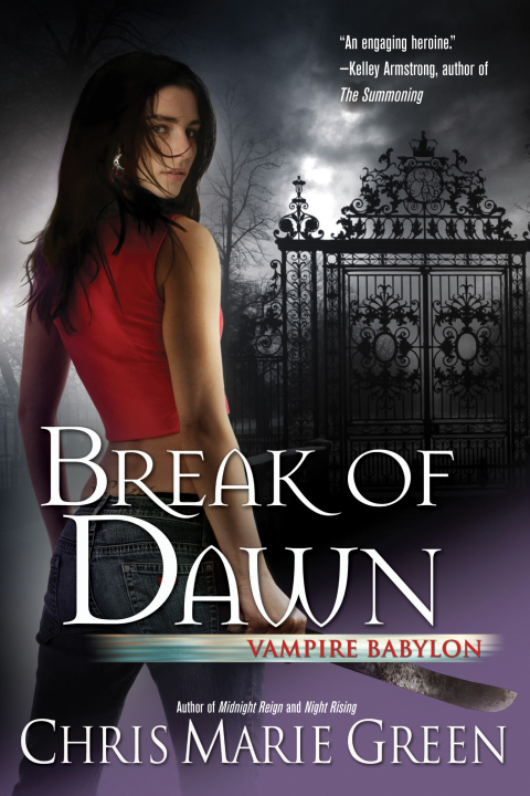 Cover image for book Break of Dawn