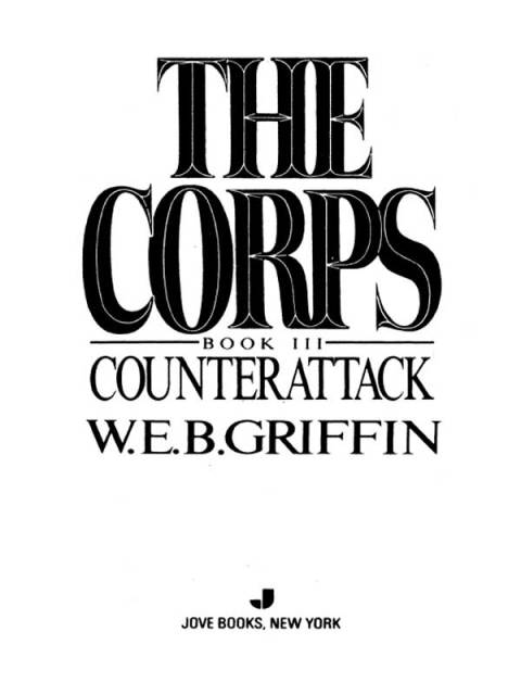 Cover image for book Counterattack