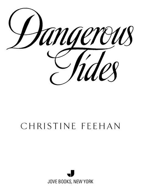 Cover image for book Dangerous Tides