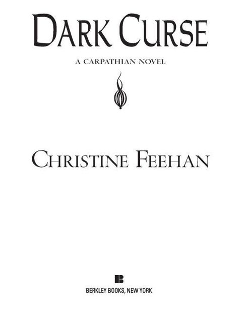 Cover image for book Dark Curse