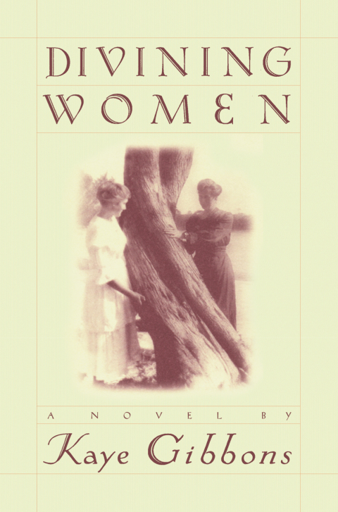 Cover image for book Divining Women