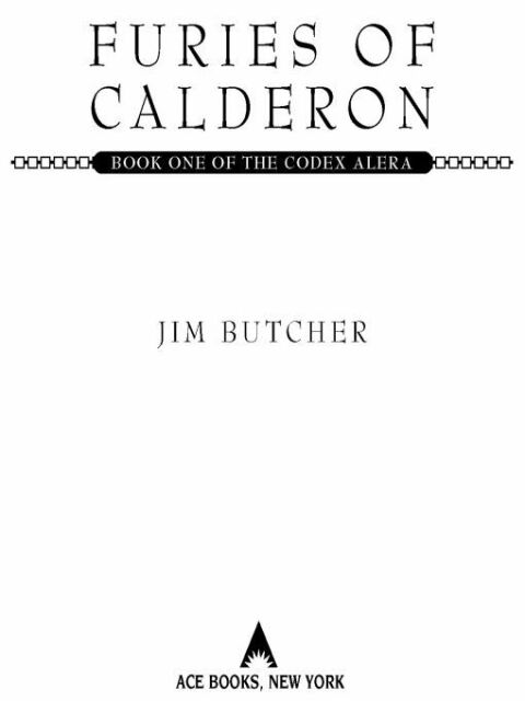 Cover image for book Furies of Calderon