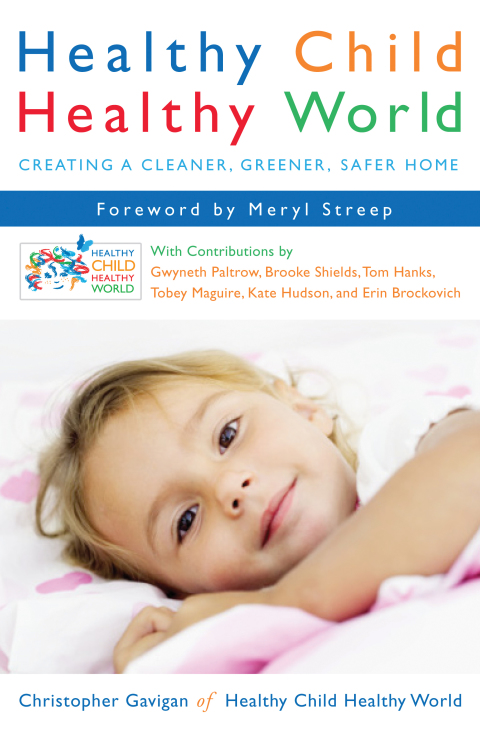 Cover image for book Healthy Child Healthy World