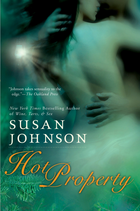 Cover image for book Hot Property