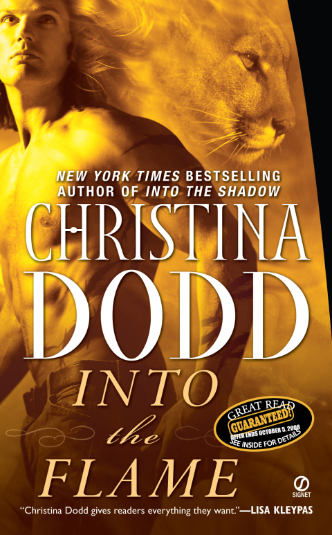 Cover image for book Into the Flame