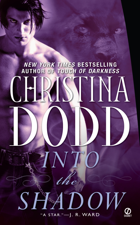 Cover image for book Into the Shadow