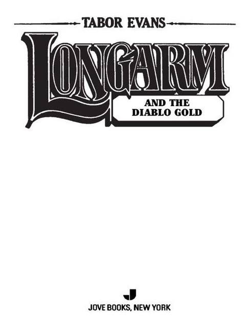 Cover image for book Longarm 354