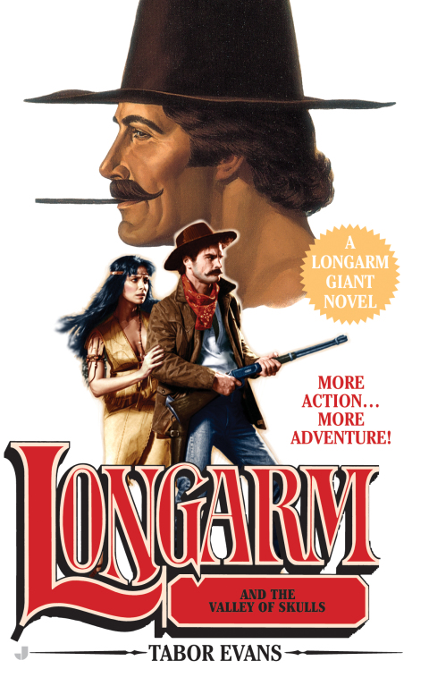 Cover image for book Longarm Giant 27