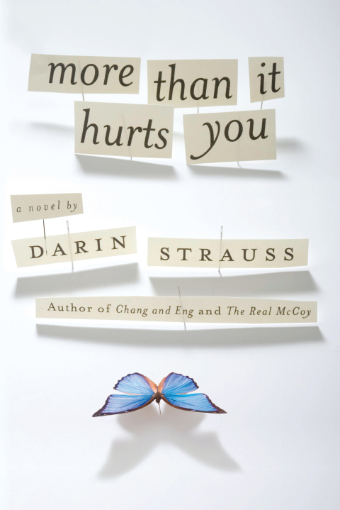 Cover image for book More Than It Hurts You