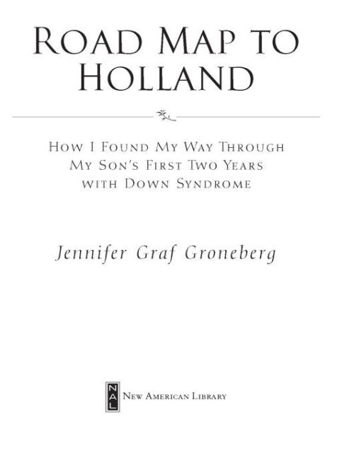 Cover image for book Road Map to Holland
