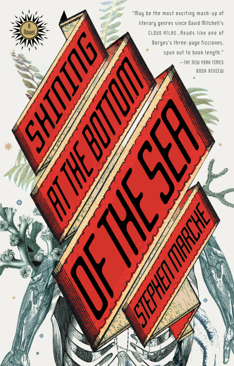 Cover image for book Shining at the Bottom of the Sea