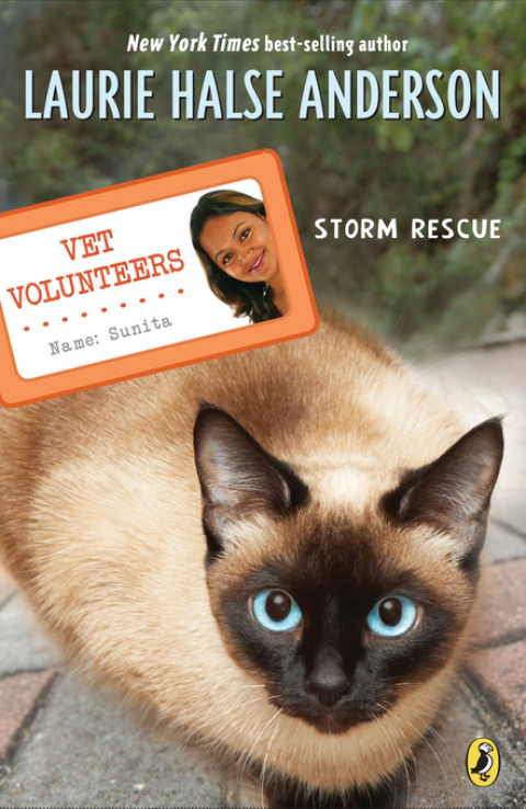 Cover image for book Storm Rescue
