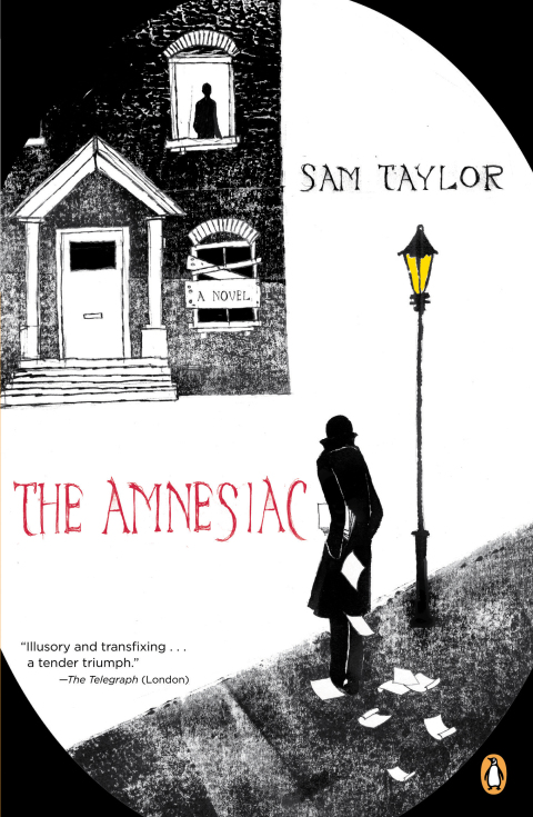 Cover image for book The Amnesiac