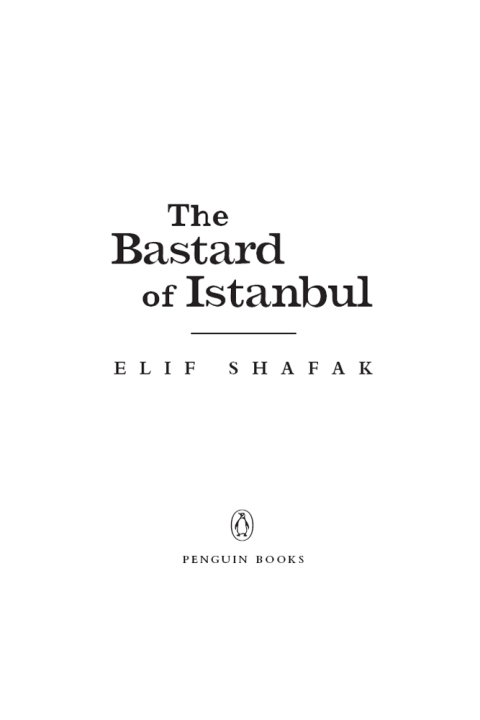 Cover image for book The Bastard of Istanbul