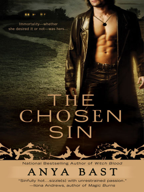 Cover image for book The Chosen Sin