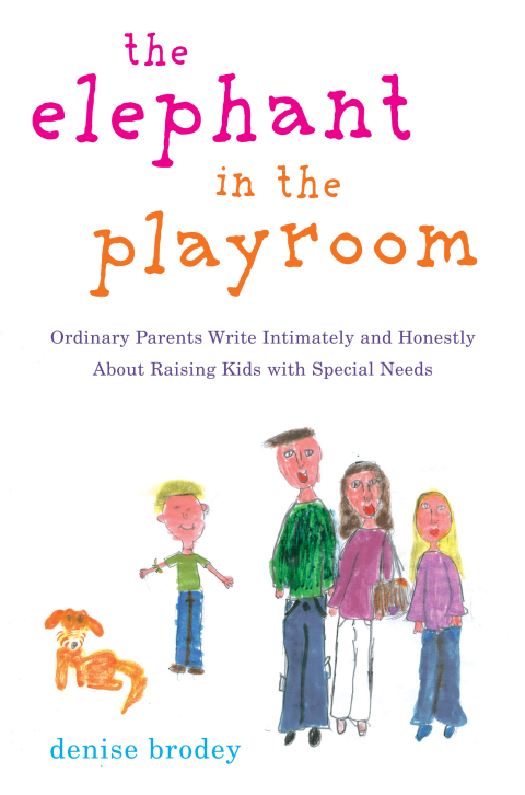Cover image for book The Elephant in the Playroom