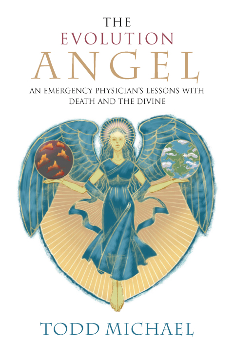 Cover image for book The Evolution Angel
