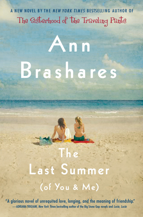 Cover image for book The Last Summer (of You and Me)