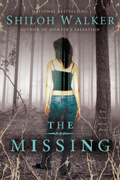 Cover image for book The Missing