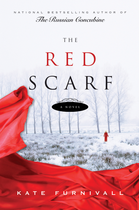Cover image for book The Red Scarf