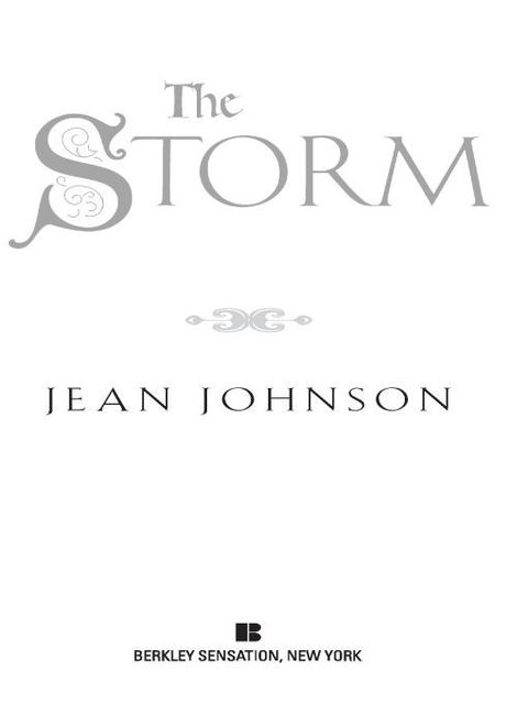 Cover image for book The Storm