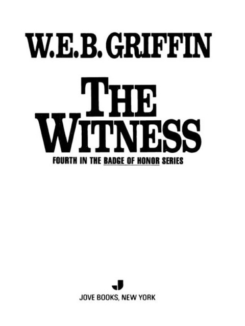 Cover image for book The Witness