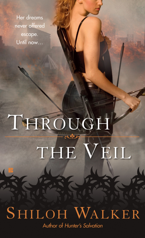 Cover image for book Through the Veil