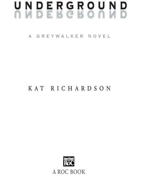 Cover image for book Underground