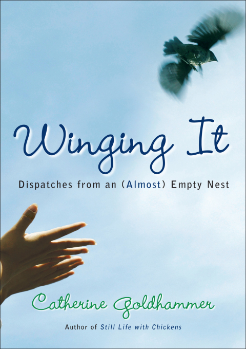 Cover image for book Winging It