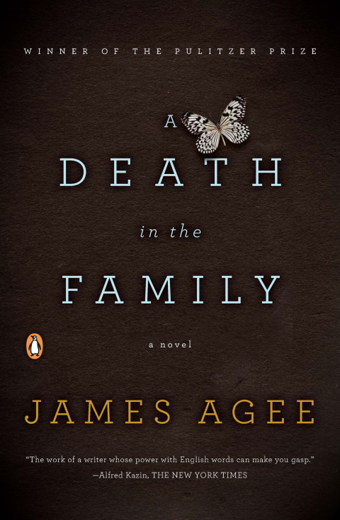 Cover image for book A Death in the Family