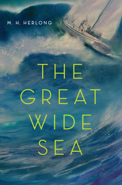 Cover image for book The Great Wide Sea