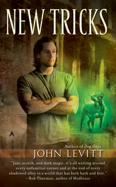 Cover image for book New Tricks