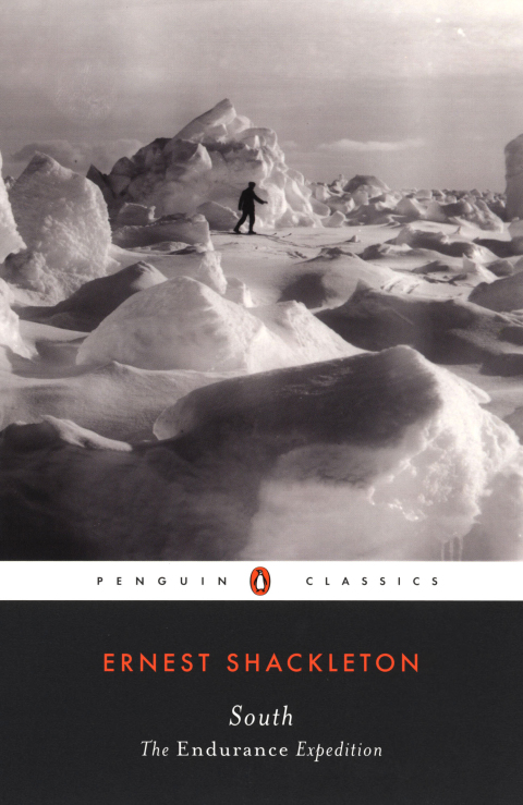 Cover image for book South