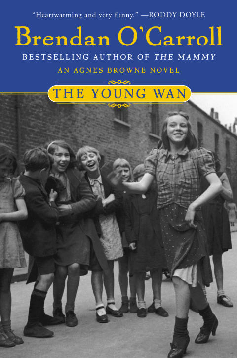 Cover image for book The Young Wan
