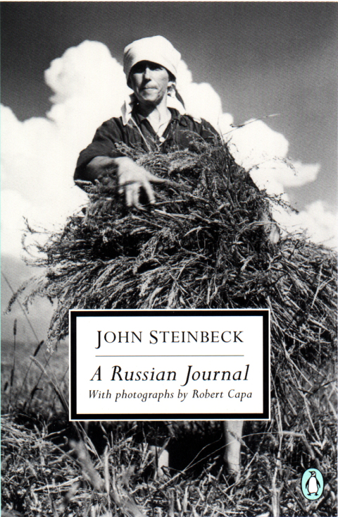 Cover image for book A Russian Journal