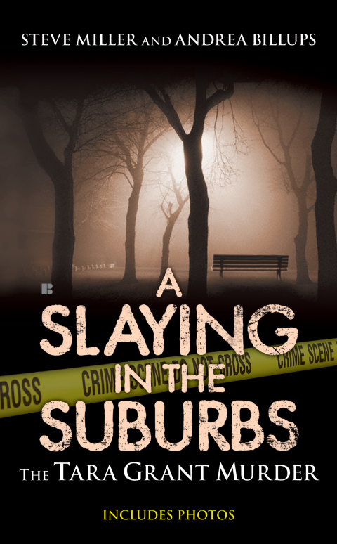 Cover image for book A Slaying in the Suburbs