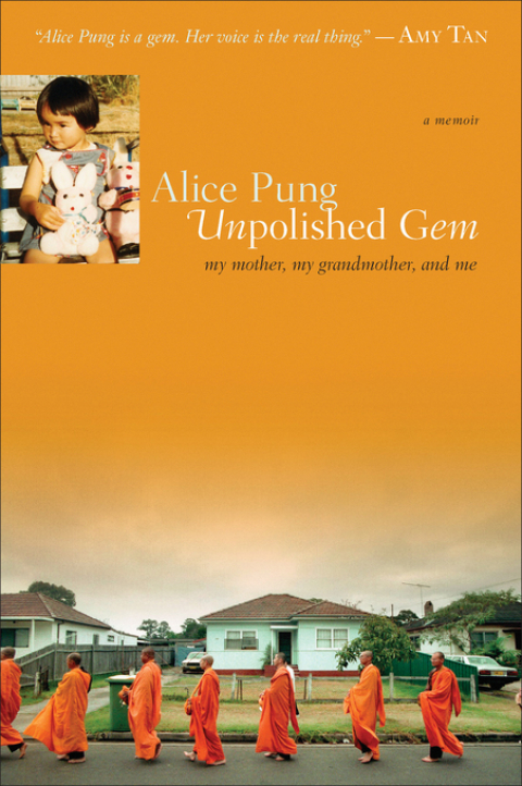 Cover image for book Unpolished Gem