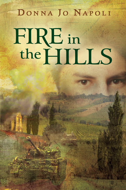 Cover image for book Fire in the Hills