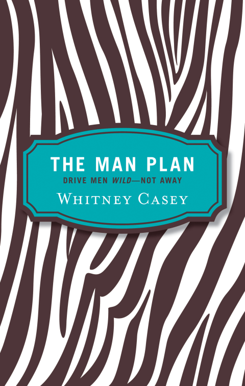 Cover image for book The Man Plan